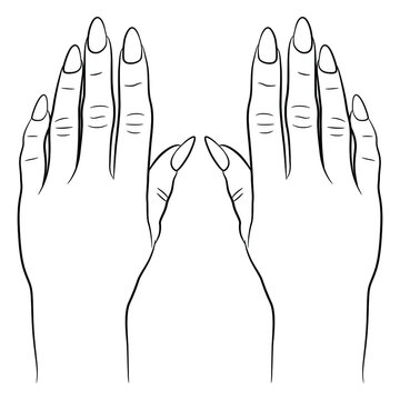 Hand Hands Woman Female Women Girl Stock Illustration 2357703067 |  Shutterstock
