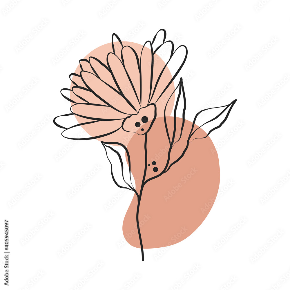 Poster flower stem leaves decoration line art with colored spot