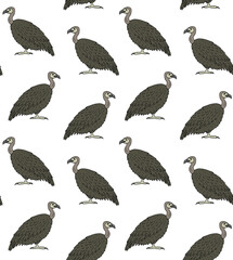 Vector seamless pattern of colored hand drawn doodle sketch griffon vulture bird isolated on white background