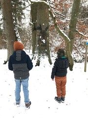 Zwei Kinder im Wald