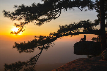 The Silhouette young woman and sunset with big tree.In Phu Kradueng National Park in Thailand.Relaxed,alone,happy.Photo concept relaxing and lifestyle background.