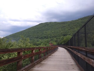 Naklejka premium bridge over the river