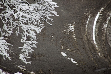 Close up of snow covered branches hanging over a road covered with slush