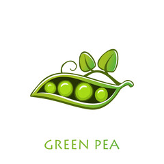 Green peas. Vector illustration cartoon flat icon isolated on white.