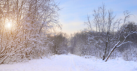Winter landscape panorama of snow and sun . The sun peeks out from behind the trees. Nature. Snow valley. Winter screensaver. article about winter tourism and recreation