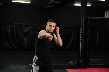 Fototapeta na wymiar Mixed martial art fighter posing in the ring