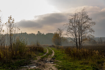 beautiful dramatic autumn landscape with a dirt road