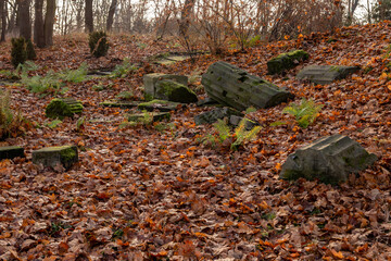 destroyed columns between fallen yellow leaves in autumn