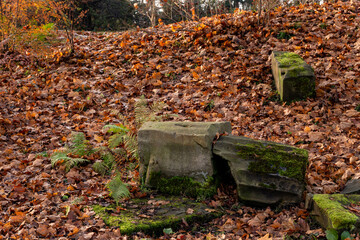 destroyed columns between fallen yellow leaves in autumn