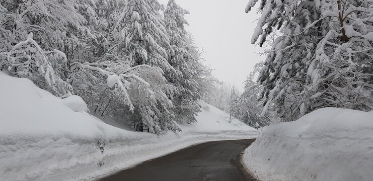 Neve al Monte Penice, Oltrep&ograve; Pavese, Lombardia