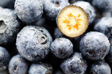 Background of fresh blueberries with water drops ready to be eaten. 