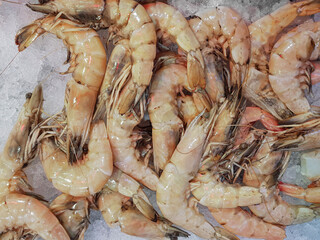 fresh shrimps at the market