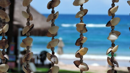 willow catkins on sky