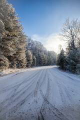 Snow covered road in a Wisconsin forest on a January morning