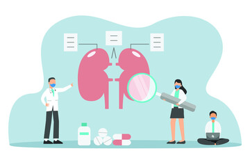 Studying on kidney 2D flat vector concept for banner, website, illustration, landing page, flyer, etc