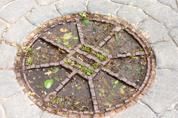 Manhole cover in Bratislava. An old manhole with the remains of leaves, cigarettes and water