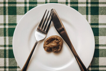 Fake excrement of a cat lies on a white plate with fork and knife close-up on green checkered tablecloth. The concept of an inept cook, a crappy restaurant, bad food, fake news. Bad smelling joke.