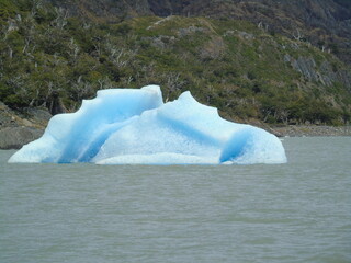 Lago y glaciar Grey. Patagonia Chilena