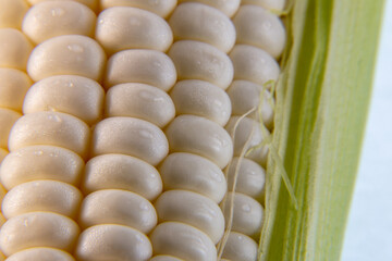 背景素材　スイートコーンのクローズアップ
