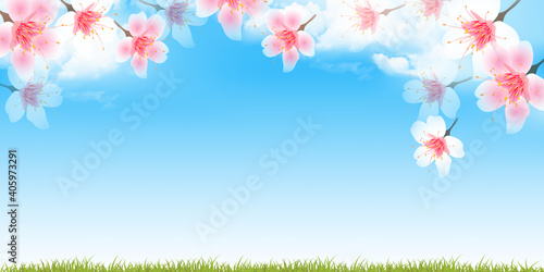 桜 花 春 背景 Wall Mural Wallpaper Murals Wallsheaven J Boy 桜 花 春 背景 Wall Mural Wallpaper Murals Wallsheaven J Boy