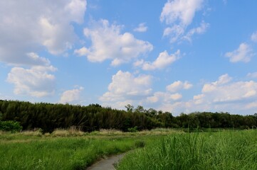 春　青空　河川敷　道　風景