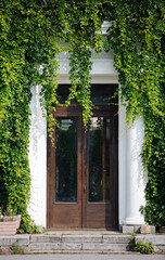 An old door draped with a lush curtain of ivy