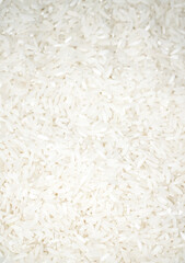 White rice close up