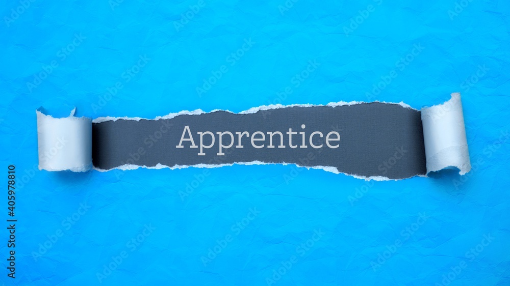 Wall mural apprentice. blue torn paper banner with text label. word in gray hole.