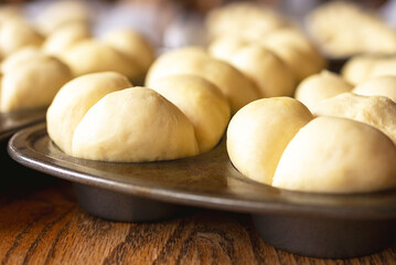 Clover Leaf dinner roll dough raises in muffin tins.  Close up view.
