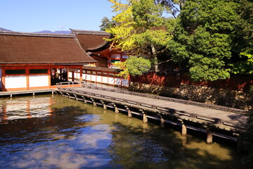 Fototapeta na wymiar 11月広島宮島、厳島神社木橋。