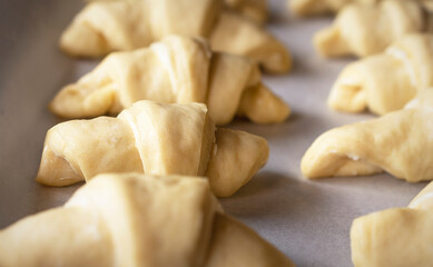 Rows of crescent rolls raise on parchment paper.