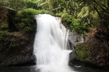 Fototapeta na wymiar Waterfalls and Pristine Rivers in the Rincon de la Vieja National Park in Guanacaste in Costa Rica