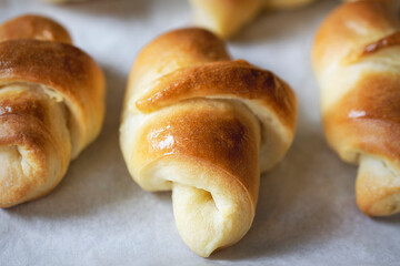 Close up of a row of crescent rolls on white parchment paper.  Freshly baked and brushed with butter.