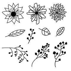 Flowers, leaves, branches for design. A vector set of illustrations.