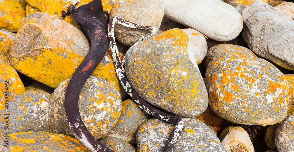 Sticker Closeup shot of a pile of lichen-covered stones and seaweed on the Atlantic Coast of Cape Town