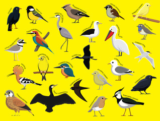 Fototapeta premium Europe Birds with Name Cartoon Character Set 1