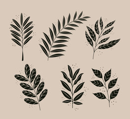bundle of six boho style leafs plants nature icons vector illustration design