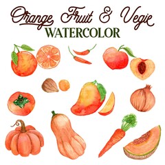 Orange Fruit and Vegetable Watercolor illustration