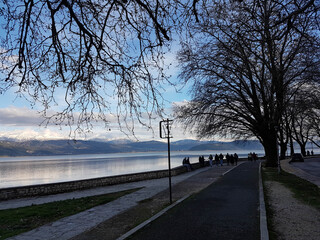 ioannina lake  evening in  winter season trees road in greece