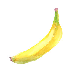 水彩で描いたバナナのイラスト