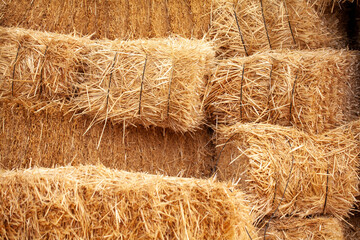 The most valuable feed of livestock is straw
