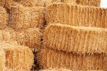 The most valuable feed of livestock is straw
