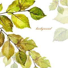  Watercolor background beautiful bright leaves