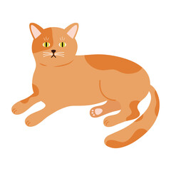 cute little cat yellow color pet mascot character vector illustration design