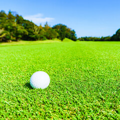 ゴルフボール　ゴルフ　ボール
