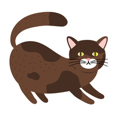 cute little cat brown color pet mascot character vector illustration design