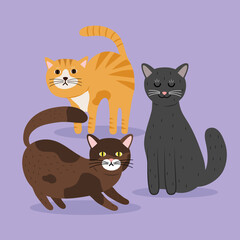 bundle of three cats differents colors mascots characters vector illustration design