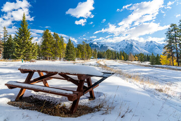 Tunnel Mountain Campground wooden bench in snowy autumn sunny day. Colorful yellow and green trees, snow-covered mountains. Banff National Park, Canadian Rockies.
