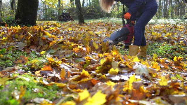 Strong woman fighting autumn leaves in her garden yard with leaf blower tool