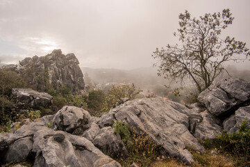 Banco de niebla Sierra de Älvarez 